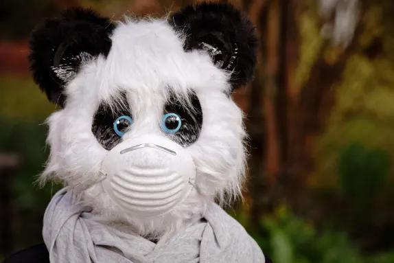 Casino Mars Bet Stuðningur